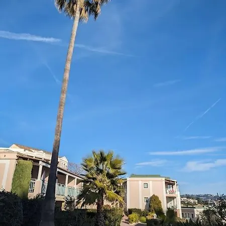 Superbe Avec Piscine 1 Cannes